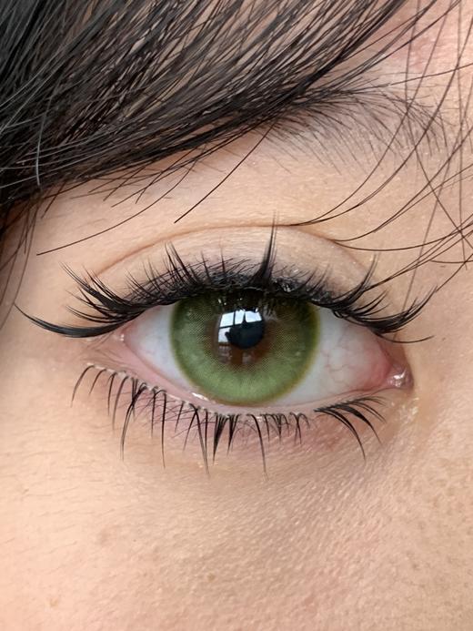 isoralook 日抛 菠菜脑袋  直径14.5mm 商品图4