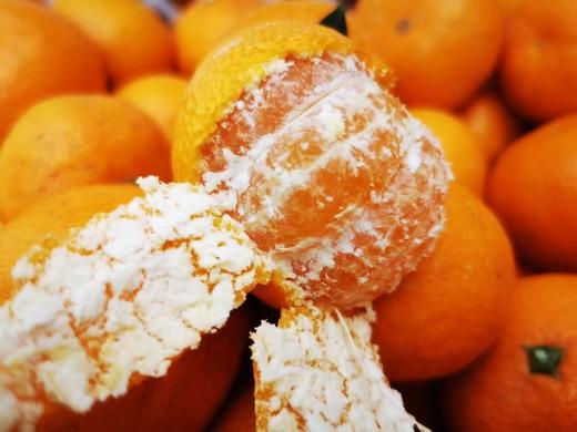 【涌泉蜜桔】皮薄如糖纸  生态自然甜 商品图4