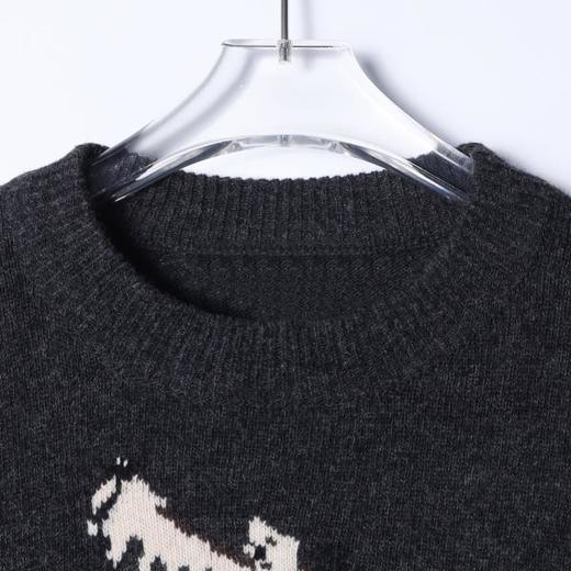 FL126SDSA男士秋冬新款痞帅男装潮牌胸前卡通设计圆领毛衣百搭时尚上衣 商品图2