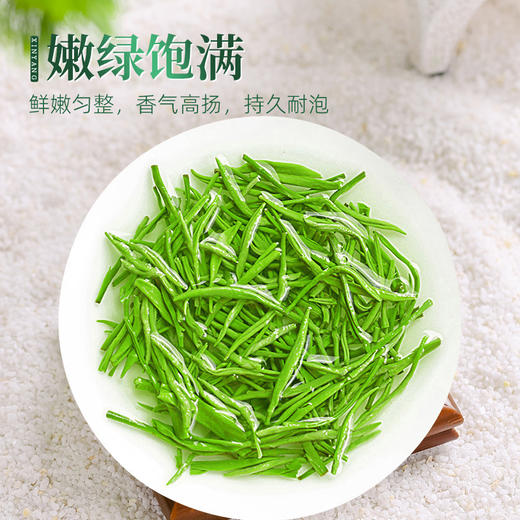 【2025新茶】茶马世家一级信阳毛尖500g厚礼绿礼盒装 商品图6