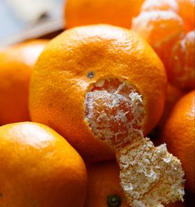 【涌泉蜜桔】皮薄如糖纸  生态自然甜