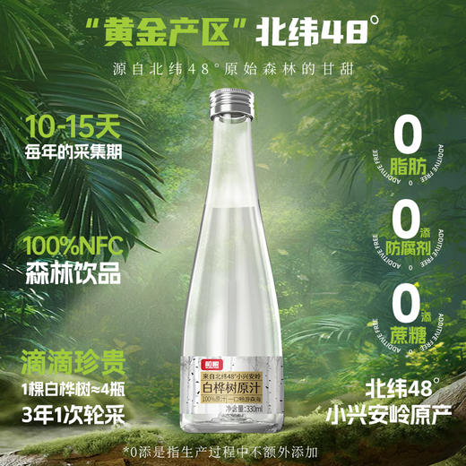 【礼盒】伊春白桦树原汁330ml*6瓶/箱 100%NFC 无添加 商品图3