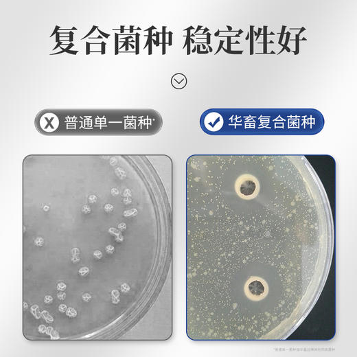 华畜水产专用EM菌2L装 调水净水降解氨氮 商品图1