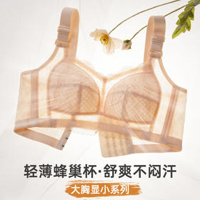 雅黛俪内衣女大胸显小收副乳防下垂性感蕾丝调整型文胸大码全罩杯