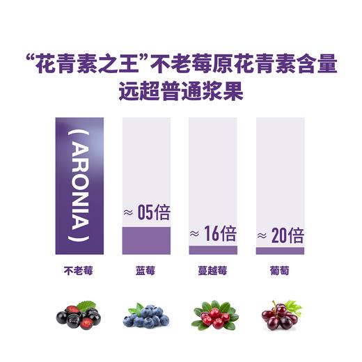 somesome不老莓姜黄饮（30ml*10瓶） 商品图2