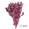 永生花材 | 染色苹果叶紫红 商品缩略图0