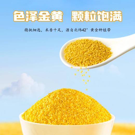 塞耘敖汉小米2.5kg/袋 商品图1
