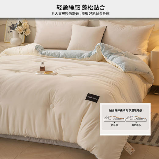 早先生 双拼大豆冬被（6斤）【放心甄选】【够意思】 商品图6