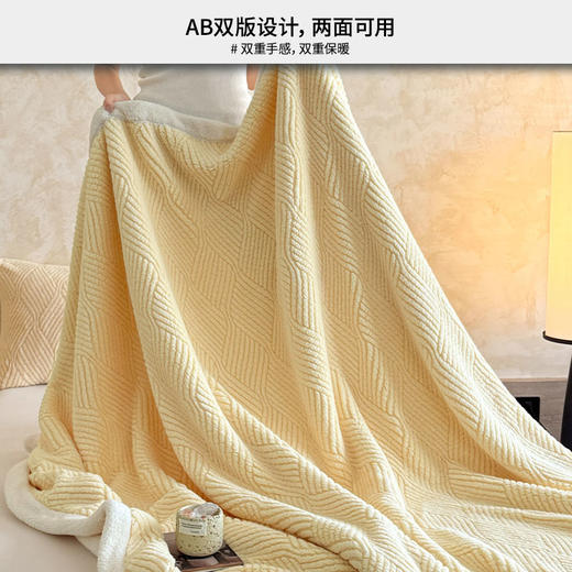 早先生 2025秋冬塔芙绒提花双层毛毯 商品图1