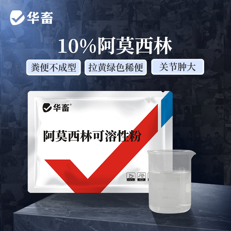 华畜  10%阿莫西林可溶性粉 溶解性更好 吸收效果更好  几乎无停药期