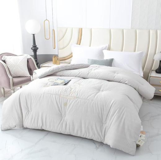 新款欧拉刺绣亲肤舒适保暖冬被G118000137 商品图1