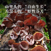 【德米特认证】大野木耳150g 商品缩略图1