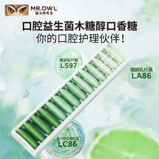 猫头鹰木糖醇口香糖系列 商品图1