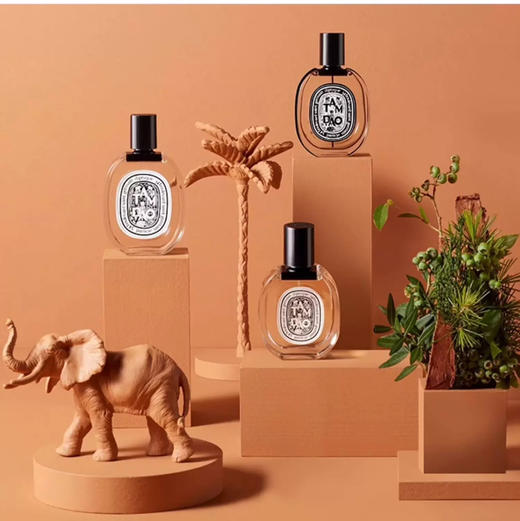 法国 Diptyque蒂普提克 水中之影淡香水 50ml/100ml 商品图2