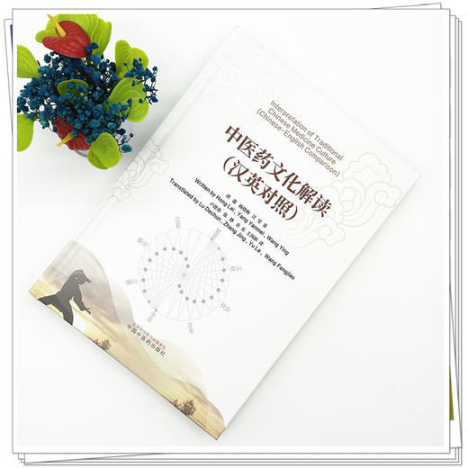 中医药文化解读（汉英对照） 洪蕾 杨艳梅 汪莹 著 中国中医药出版社 商品图1