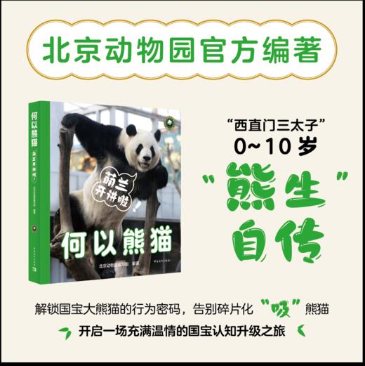 何以熊猫：萌兰开讲啦！北京动物园编写组 中国青年出版社 商品图0