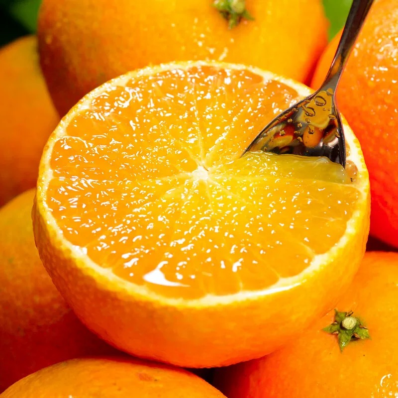 爱媛38号果冻橙产地朔源   四川眉山产地直发新鲜爆汁甘甜