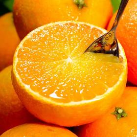 爱媛38号果冻橙产地朔源   四川眉山产地直发新鲜爆汁甘甜