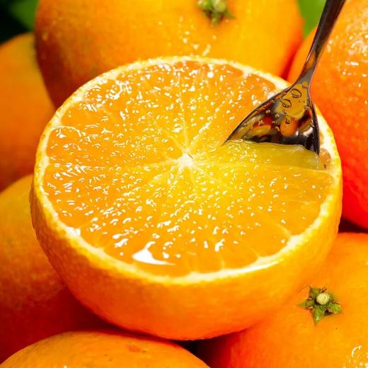 爱媛38号果冻橙产地朔源   四川眉山产地直发新鲜爆汁甘甜 商品图0