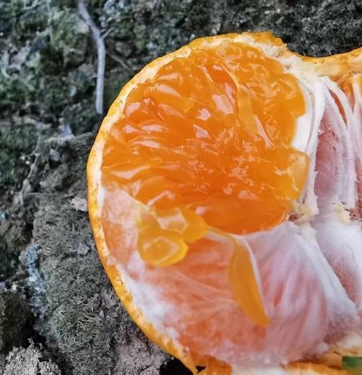 【涌泉蜜桔】皮薄如糖纸  生态自然甜 商品图1