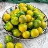 【广西甜心金桔】果皮薄而爽脆，甜脆爽口 商品缩略图3