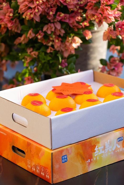 【2025新一批】布丁一样细嫩的果肉​ 【半坡阳光·红美人】爆汁-90%以上都是汁水 商品图4