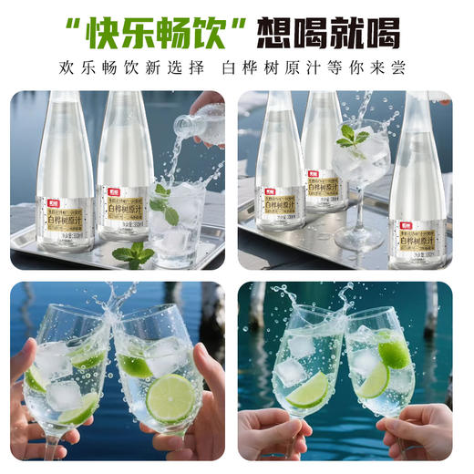 【礼盒】伊春白桦树原汁330ml*6瓶/箱 100%NFC 无添加 商品图5