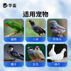 华畜鹦鹉驱虫喷雾鸟用体外杀虫剂除羽虱螨虫八哥玄凤虎皮专用药 商品缩略图4
