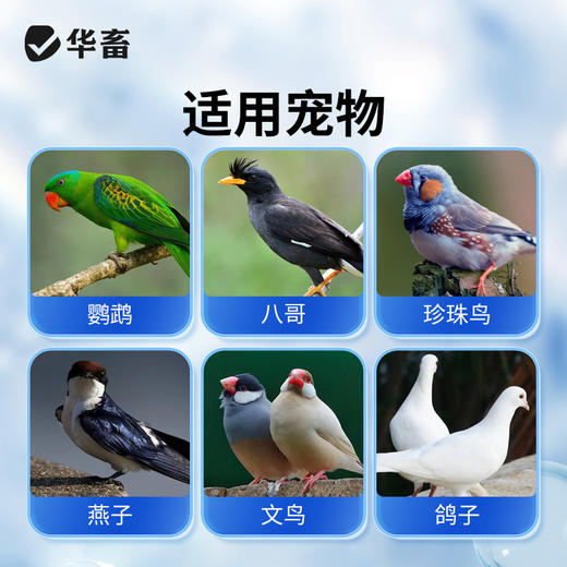 华畜鹦鹉驱虫喷雾鸟用体外杀虫剂除羽虱螨虫八哥玄凤虎皮专用药 商品图4