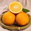 带叶脐橙（江西）约1000G /份 商品缩略图0