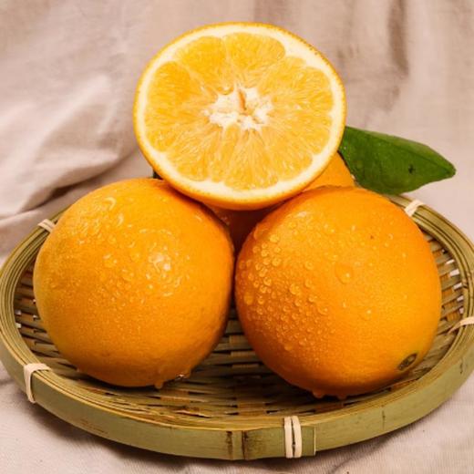 带叶脐橙（江西）约1000G /份 商品图0