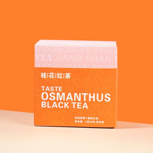 江山美人乌龙茶杯泡茶办公杯泡茶新品系列 商品图5