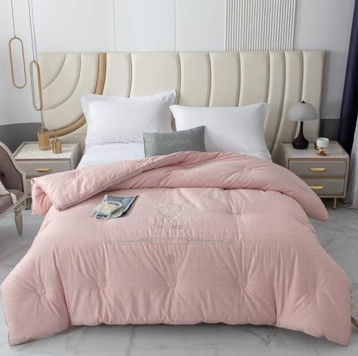 新款欧拉刺绣亲肤舒适保暖冬被G118000137 商品图0