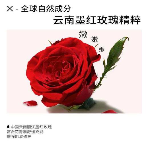 新升级PMPM墨红玫瑰舒缓柔润精华油套盒（30ml+15ml） 商品图7