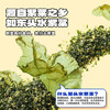 小鹿蓝蓝DHA鳕鱼肉松拌饭海苔碎40g儿童零食宝宝营养调味下饭佐餐寿司材料 商品缩略图4