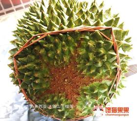 马来西亚劳勿老树猫山王，双A果，液氮保鲜！浓郁的香味，甜糯的口感，入口，舌尖微微刺麻感伴随着苦甜味直冲头顶，直接打通“任督二脉”让人觉得好过瘾