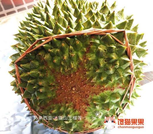 马来西亚劳勿老树猫山王，双A果，液氮保鲜！浓郁的香味，甜糯的口感，入口，舌尖微微刺麻感伴随着苦甜味直冲头顶，直接打通“任督二脉”让人觉得好过瘾 商品图0