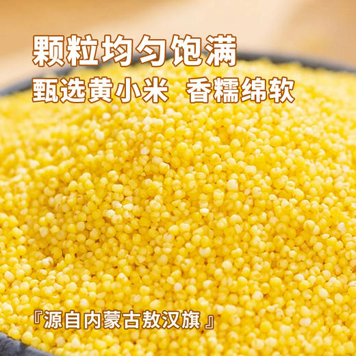 寒乡原小米2.5kg箱装 商品图1