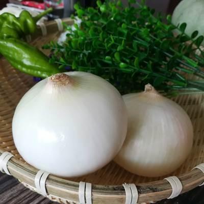 【新鲜蔬菜】恰玛古+黄胡萝卜+皮牙子   炖汤汤汁浓郁🥘 炒菜清香脆甜👨‍🍳 凉拌爽口开胃🥗 商品图1