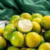 【广西甜心金桔】果皮薄而爽脆，甜脆爽口 商品缩略图2