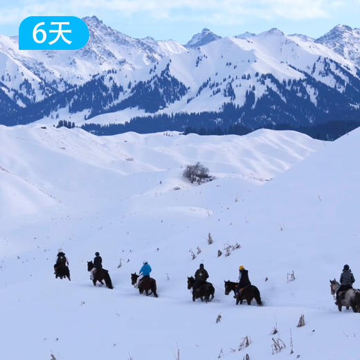 马背旅行｜天山雪骑，马踏伊犁6日 商品图0