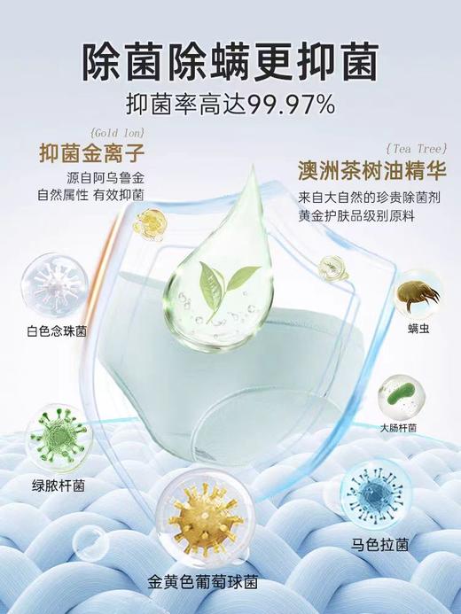 4楼Eubelle欧蓓 笙木之源茶树精油内衣清洗液260g-500g抑菌 吊牌价：12.9-49元 活动价：12.9-45元 商品图1