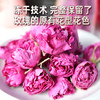 冻干玫瑰花冠茶25g玻璃瓶装 商品缩略图1