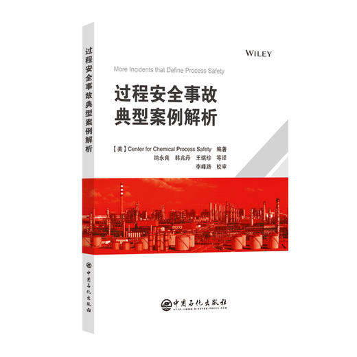过程安全事故典型案例解析 商品图0
