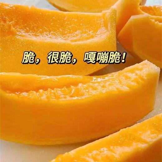 都知金蛋（3斤左右） 商品图1