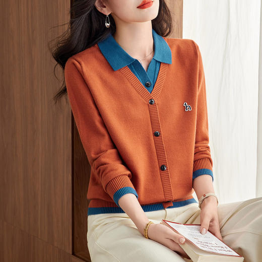 CC66-6024假两件上衣女衬衫领毛衣2025春秋新款时尚洋气翻领针织打底衫 商品图3