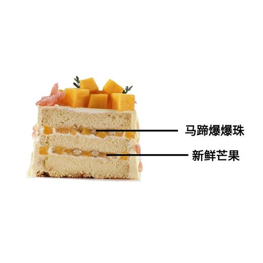 香芒柚语【动物奶油生日蛋糕W】 商品图5