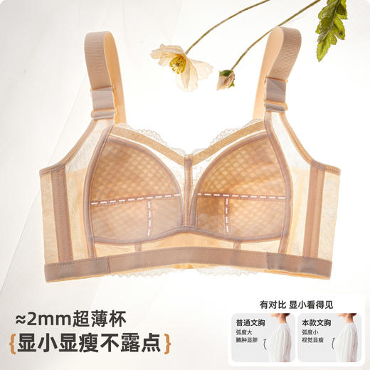 雅黛俪内衣女大胸显小收副乳防下垂性感蕾丝调整型文胸大码全罩杯 商品图5