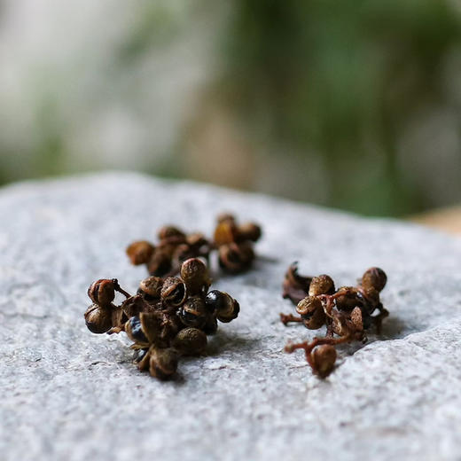 【墨脱野生花椒】西藏墨2100米森林/柠檬柑橘香/纯净清甜/微微麻/50g/袋 商品图1