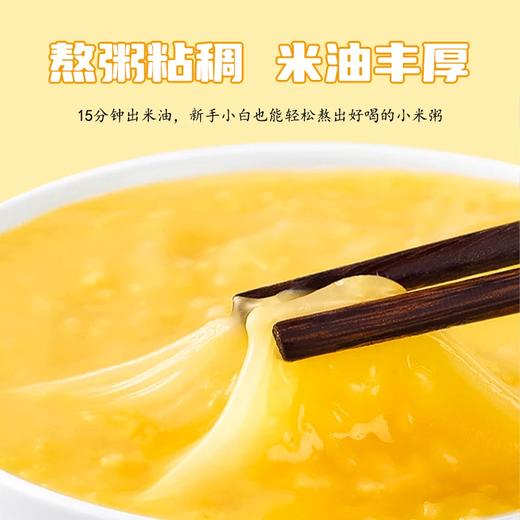 塞耘敖汉小米2.5kg/袋 商品图2